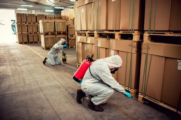 Flea Control Services in Leavittsburg, OH