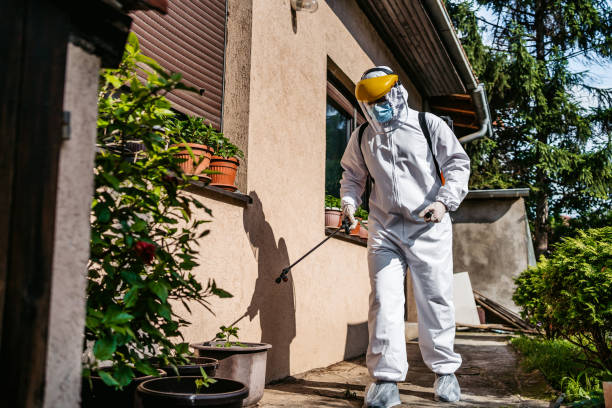 Reliable Leavittsburg, OH Pest Control Solutions