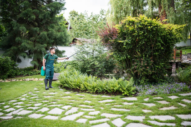 Best Best Pest Control Companies  in Leavittsburg, OH