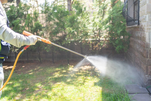 Best Pest Prevention Services  in Leavittsburg, OH