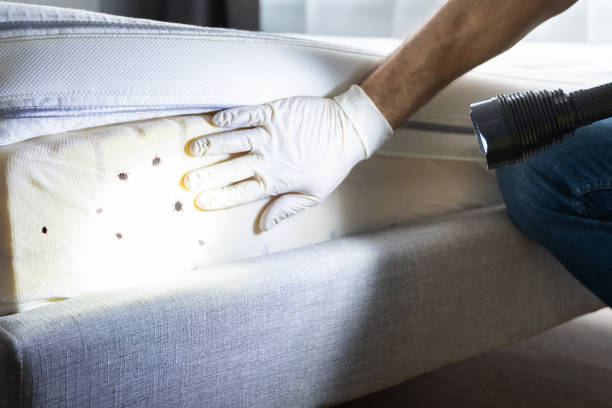 Best Pest Control for Businesses  in Leavittsburg, OH